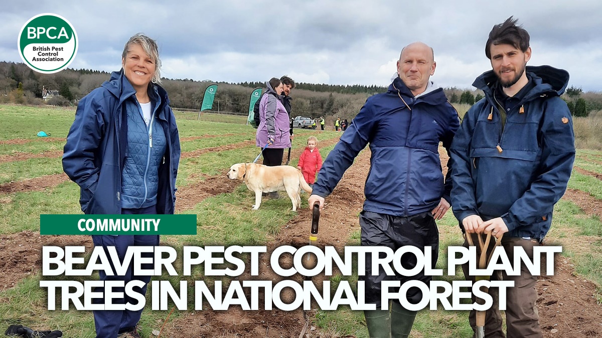 beaver-pest-control-plants-trees-hero beaver-pest-control-plants-trees-hero